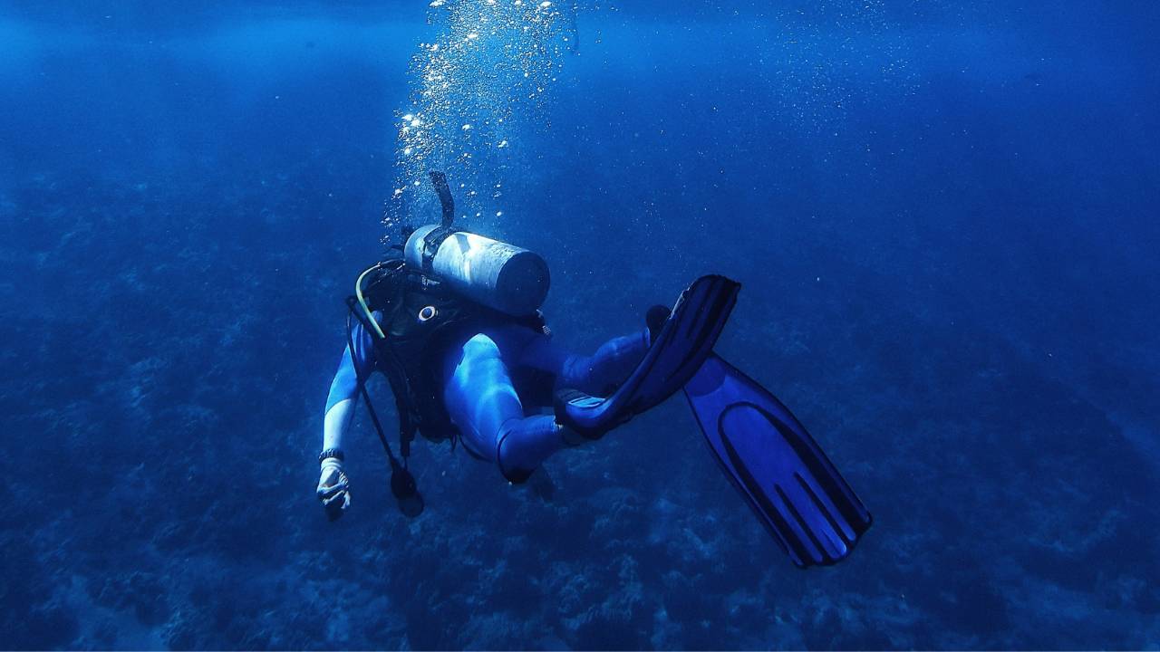A professional diver diving in the blue waters 