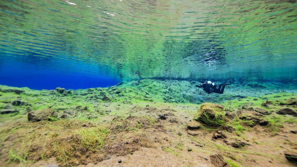 Snorkelling in Silfra: Dive into Iceland's Crystal-Clear Waters